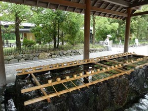 DSC07304_R