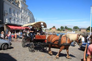 IMG_6144