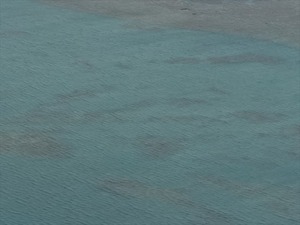 DSC03931_R