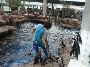 DSC08049_R