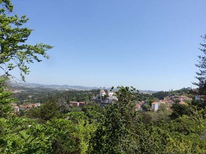 DSC06855_R