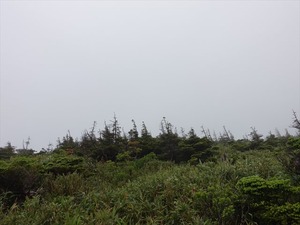 DSC06460_R