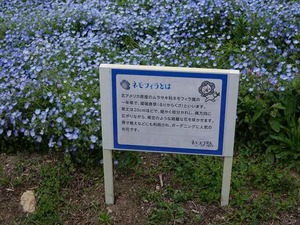 DSC00164_R