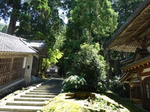 DSC05263_R