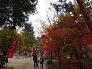 DSC01069_R