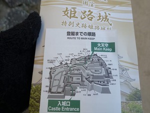 DSC01199_R