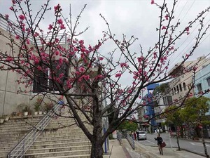 DSC03698_R