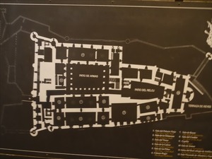 DSC04262_R
