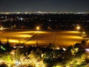 DSC01893_R