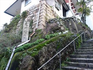 DSC00567_R