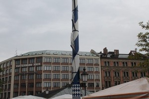 IMG_6619