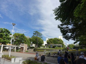 DSC01547_R