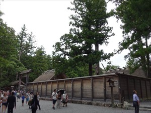 DSC07329_R