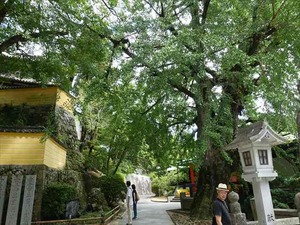 DSC01400_R