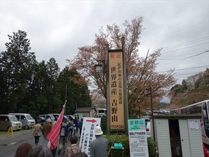 DSC08921_R