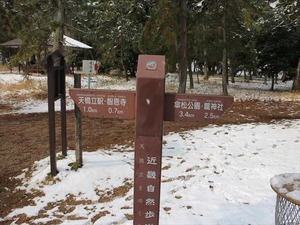 IMG_2697_R