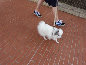 DSC09635_R
