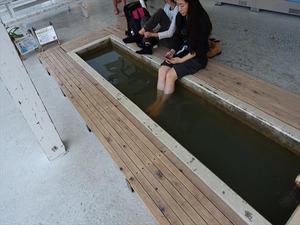 DSC03472_R