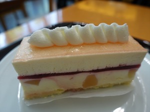 DSC00869_R