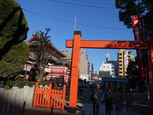 DSC02338_R