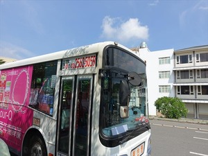DSC00387_R