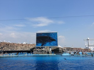 DSC03491_R
