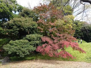 DSC05114_R
