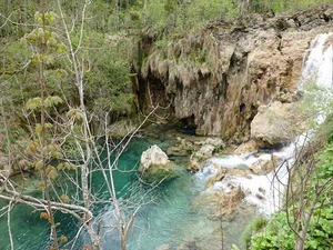 DSC00802_R