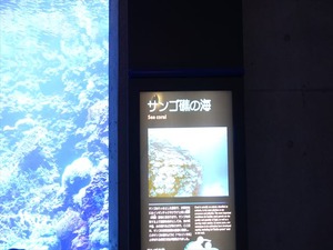 DSC05598_R