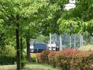 DSC08088_R