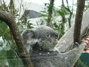DSC03101_R