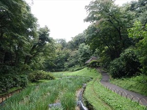 DSC02450_R