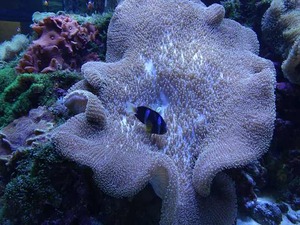 DSC05593_R