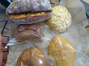 DSC04527_R
