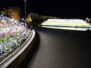 DSC02616_R