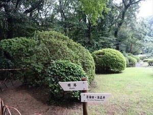 DSC02430_R