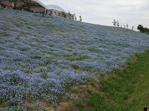 DSC00154_R