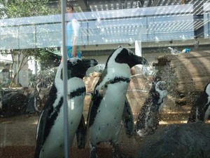 DSC07801_R