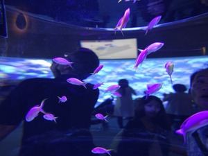 DSC05596_R