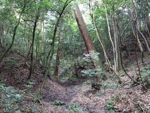 DSC07345_R