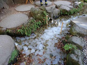 DSC04644_R