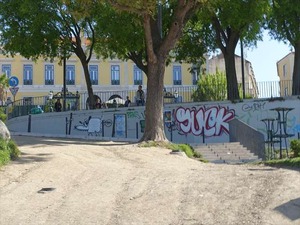 DSC07386_R