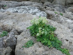 DSC07402_R
