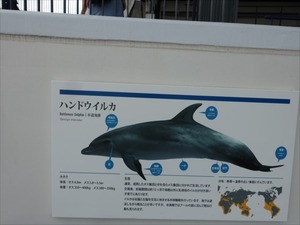 DSC08062_R