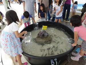DSC05650_R