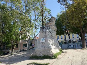 DSC07372_R