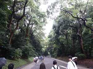 DSC02410_R