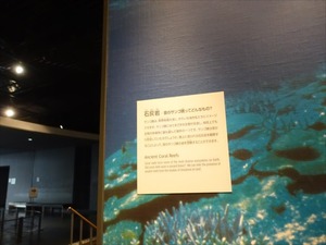 DSC05050_R