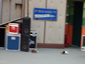 DSC07365_R