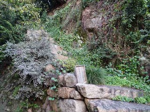 DSC00563_R